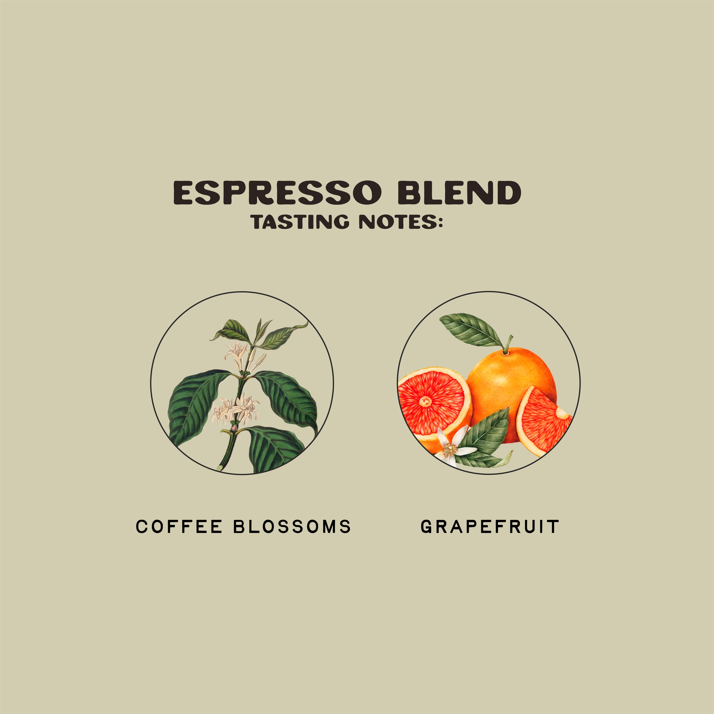 Espresso Blend