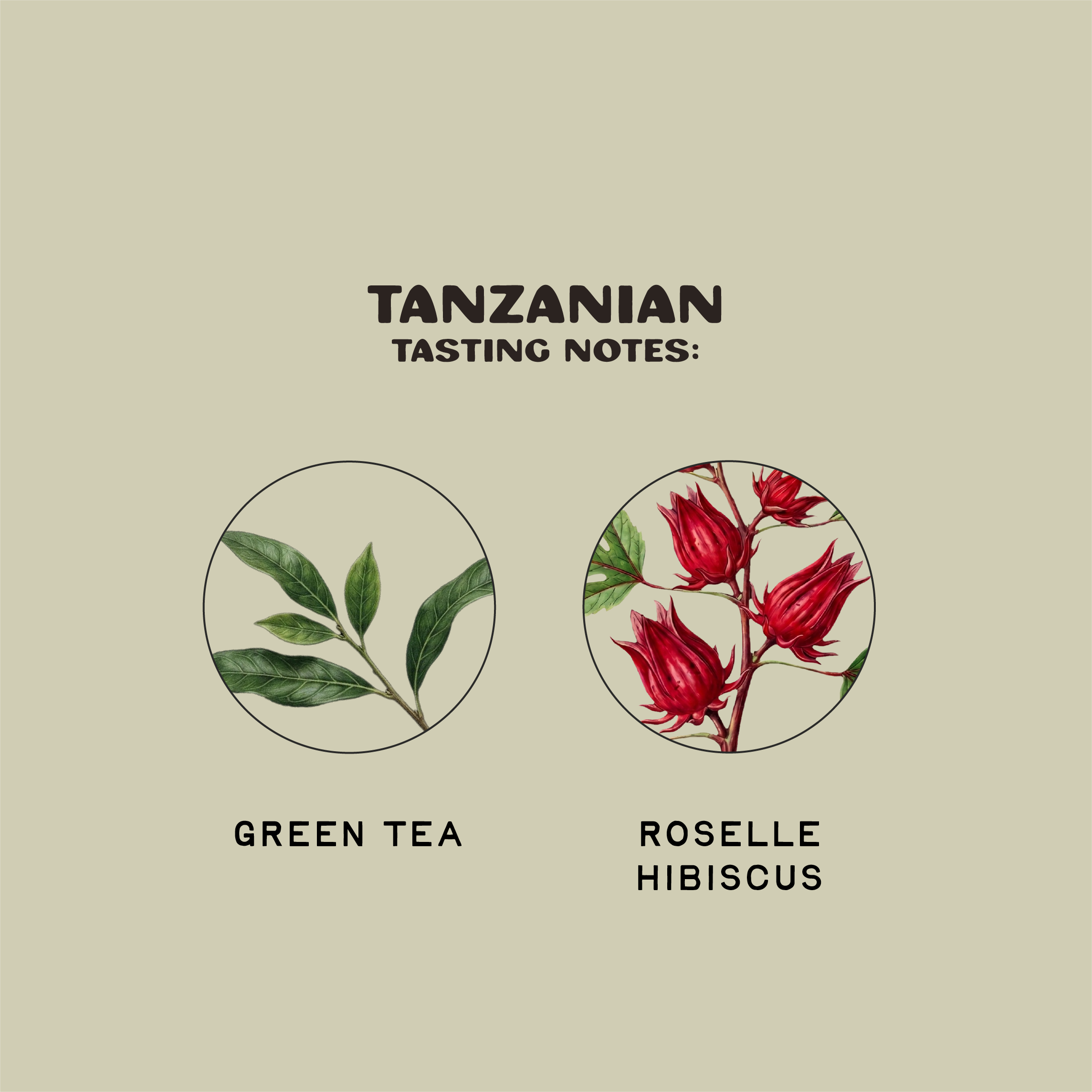 Tanzanian